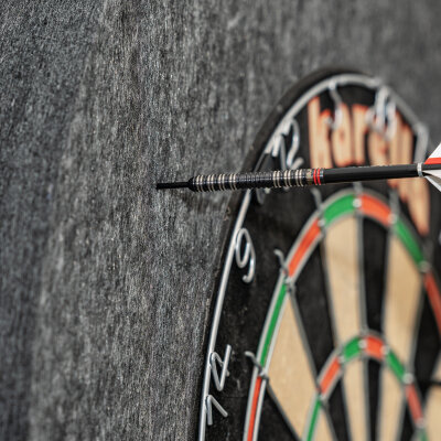 Dart Schallschutz Karella für Steeldartboards