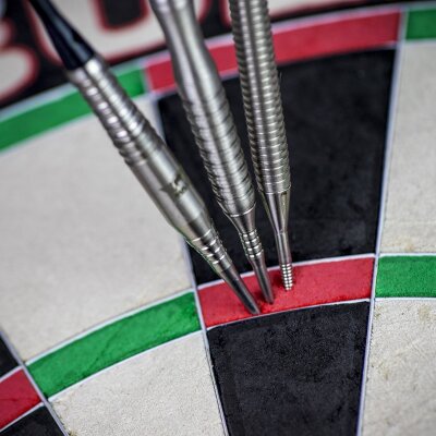 Bulls Lance TR Titanium Conversion Darts Points 30mm