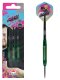 3 Bulls Ricky Evans Shell Coated Brass 21g Dartpfeile