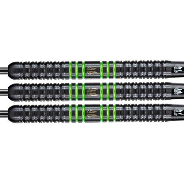 Target Vapor8 Schwarz Grün 80% 21gr. Steeldarts