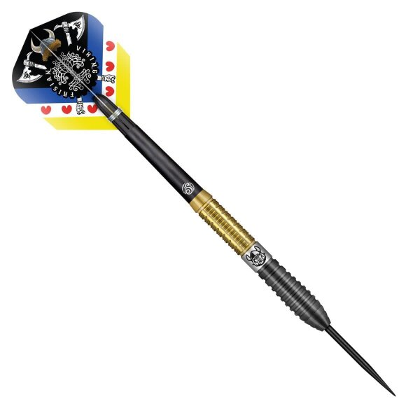Shot Jitse van der Wal 90% Steeldarts