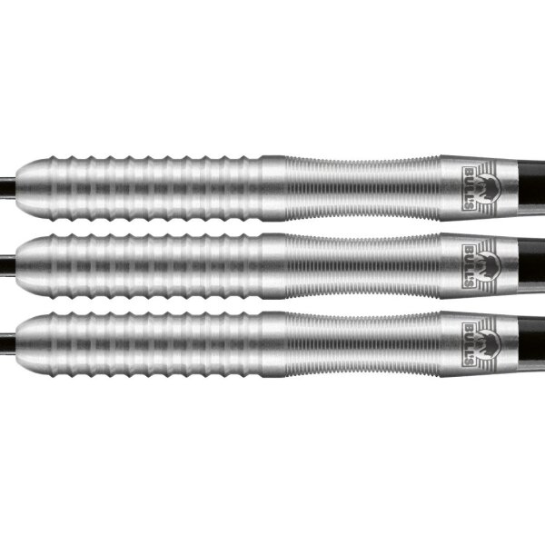 Bulls Sebastian Steyer E2 90% 24 gr Steeldarts
