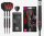 Target Swiss Nathan Aspinall "The Asp" 80% Tungsten 22g, 24g