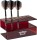 Bulls Big-S Darts Display red für 6 Sets