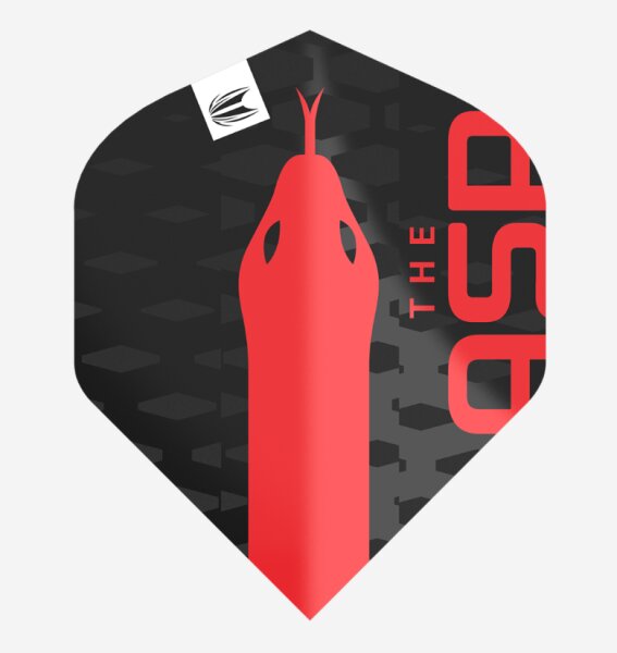 Target Nathan Aspinall G2 Pro Ultra Flights No2