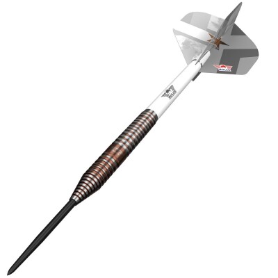 Bulls Max Hopp E5 Steeldarts 90%