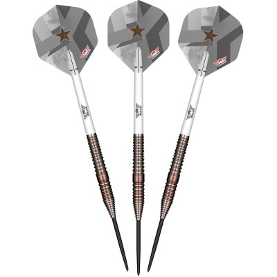 Bulls Max Hopp E5 Steeldarts 90%