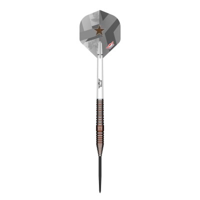 Bulls Max Hopp E5 Steeldarts 90%