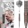 Bulls Max Hopp E5 Steeldarts 90%