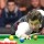 Ronnie OSullivan - Queue Snooker RS-1