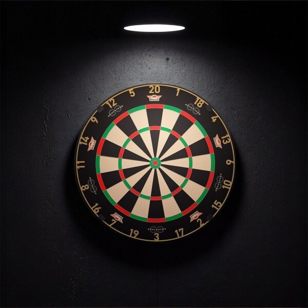 Bulls Advantage 8 Dartboard