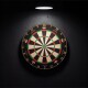 Bulls Advantage 8 Dartboard