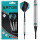 BULLS Artos AR1 Softdart Mint 80% Tungsten 20g
