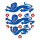 Mission England Football Dart Flights Three Lions