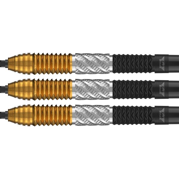 Bulls Dirk van Duijvenbode CP Steeltip 95 % 22gr. bis 24gr.