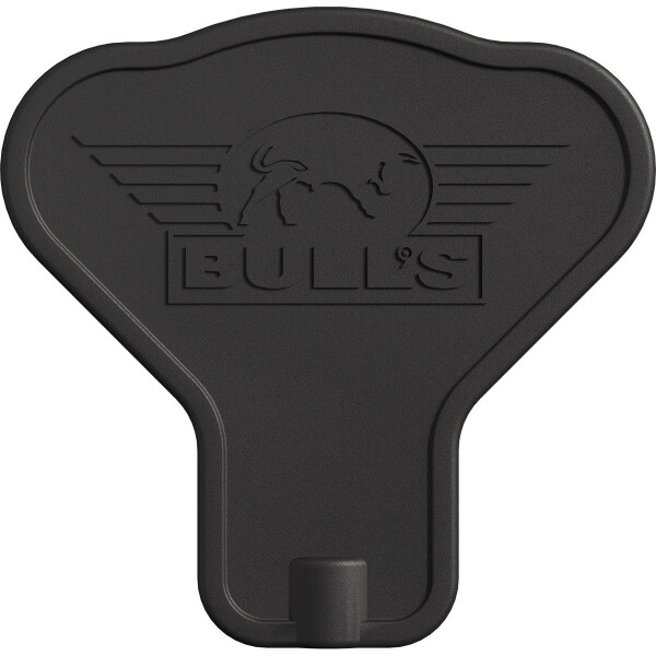 Bulls Dirk van Duijvenbode CP Steeltip 95 % 22gr. bis 24gr.
