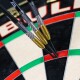 Bulls Dirk van Duijvenbode CP Steeltip 95 % 22gr. bis 24gr.