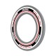 Winmau - Surround Advance white/red