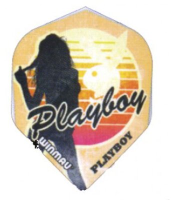 Winmau Mega Standard Flights Playboy