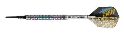 Target Wayne Mardle Hawaii 501 Softdarts 20g